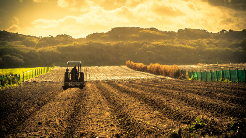 A força da agropecuária está também na transmissão de valores, ressalta Hebron Costa Cruz de Oliveira.