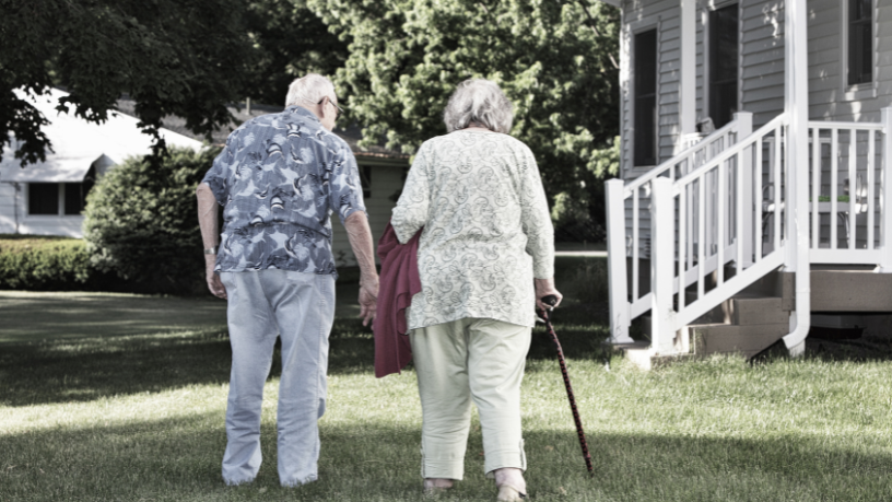 Sindnapi - Sindicato Nacional dos Aposentados, Pensionistas e Idosos