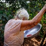 Mulher idosa cuidando de uma horta ao ar livre em uma área rural brasileira.