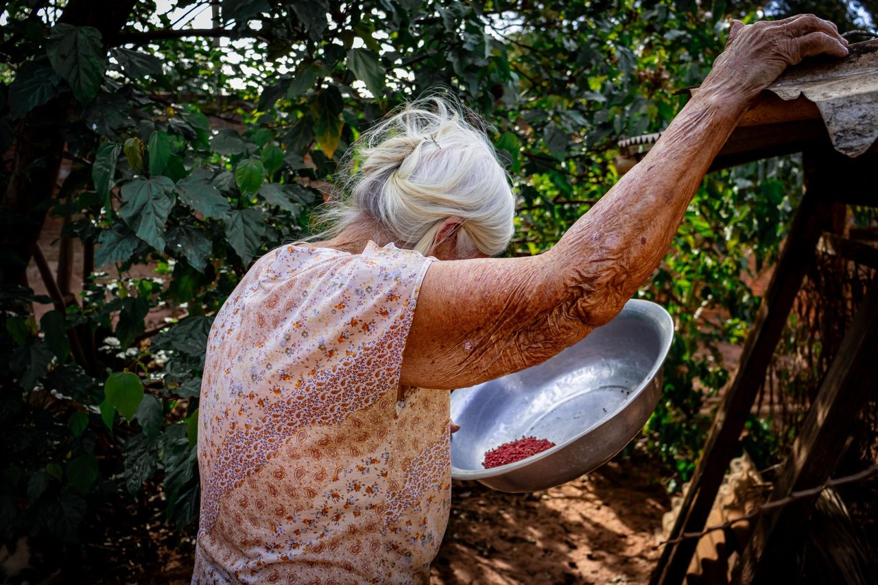 Mulher idosa cuidando de uma horta ao ar livre em uma área rural brasileira.
